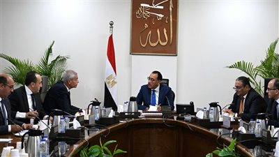 الحكومة تبحث توطين صناعة المواد الخام للصناعات الطبية