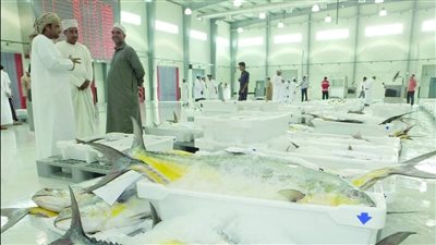 أكثر من 5 ملايين ريال قيمة الفرص الاستثمارية المطروحة بالقطاع السمكي في  عُمان