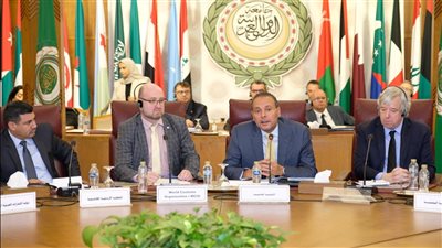   الجامعة العربية تختتم المرحلة الثانية لمشروع مكافحة انتشار الأسلحة الصغيرة بالتعاون مع الاتحاد الأوروبي