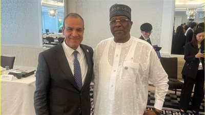 وزير الخارجية: مصر حريصة على أمن تشاد لاعتباره دعامة لاستقرار المنطقة