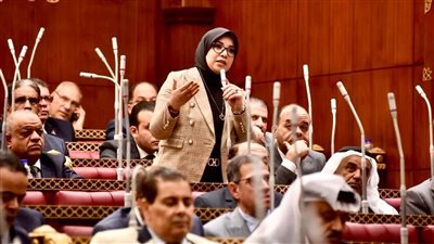 النائبة دينا هلالي: العمالة غير المنتظمة كنز وليست عبء على خزانة الدولة