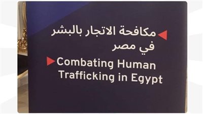 وزارة العمل تشارك في ورشة عمل لبناء وتعزيز قدرات المفتشين بكفر الشيخ  