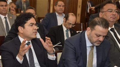 ضياء الدين داود: مشروع قانون الإجراءات الجنائية الجديد يتلافى مشاكل تشابه الأسماء