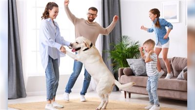 اليوم العالمي للكلاب.. رولا خرسا: 