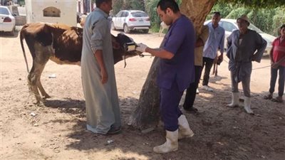 قوافل بحوث التناسليات تصل للقري النائية بمحافظة بني سويف