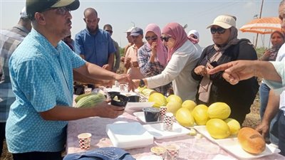 القومي للجينات ينظم يوم حقلي لمتابعة التنوع الوراثي للشمام ولوبيا العلف