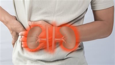 أطباء يكشفون العلامات الرئيسية للكلى غير الصحية