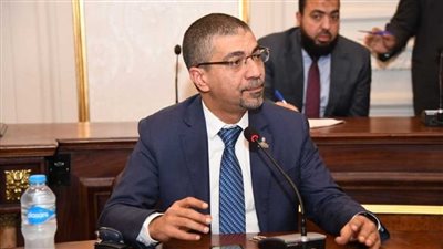 محمد البدري: مصر نجحت في تغيير الصورة الأوروبية تجاه القضية الفلسطينية