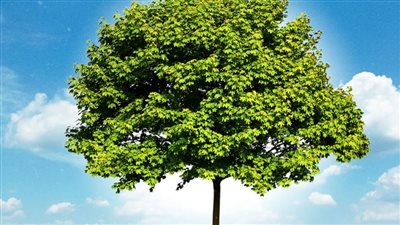 بين الساونا والمشي على الجليد .. أشهر طرق الاسترخاء من حول العالم 