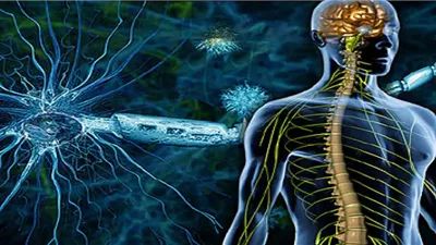 تدريب الوزن يبطئ تطور التصلب المتعدد