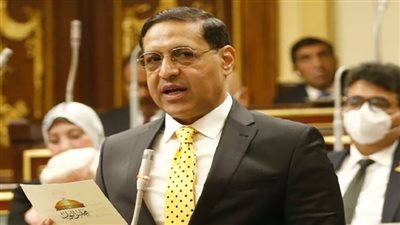 برلماني: جولات وزير قطاع الأعمال بالشركات تضمن عدم تصفيتها وتحويلها لرابحة