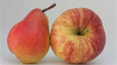 طبيب يكشف فوائد تناول التفاح والكمثرى لمرضى السكر