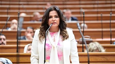 برلمانية تدعو لتنظيم عروض ترويجية مخفضة