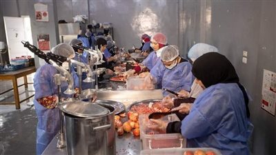 المستهدف 1000 سيدة.. بدء تنفيذ تدريبات حرفية لسيدات المنيا 