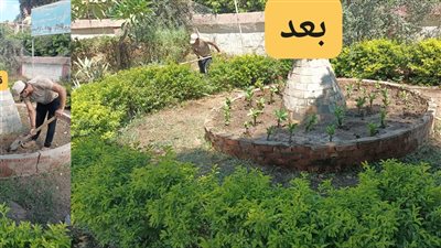 مواصلة أعمال التجميل وزارعة أشجار الزينة بمراكز ومدن الغربية 