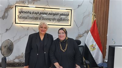 اتحاد المصريين في الخارج وملتقى سيدات الثغر يشاركن بمبادرة  (أبواب الخير) 