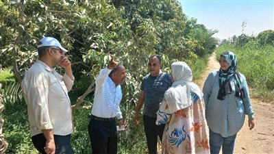  وقاية النباتات يكثف حملاته المرورية على المحاصيل الصيفية