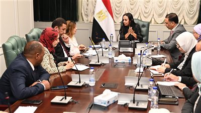 وزيرة التضامن الاجتماعي توجه بتشكيل لجنة لبناء قاعدة بيانات شاملة للأشخاص ذوي الإعاقة