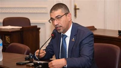 عضو بصحة الشيوخ: لقاء السيسي بوفد الكونجرس يؤكد ثقة المجتمع الدولي في دور مصر الإقليمي