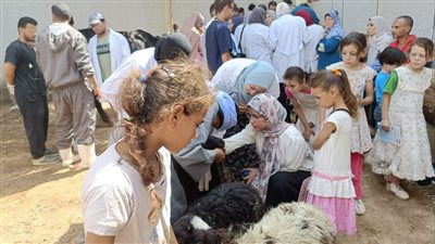 علاج 990 رأس ماشية في قافلة جامعة سوهاج البيطرية بقرية أولاد عزاز 