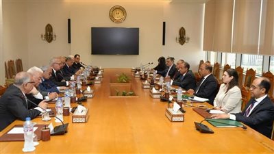 وزير الخارجية يستعرض اتصالات مصر مع الأطراف الإقليمية والدولية لتهدئة الأوضاع في المنطقة
