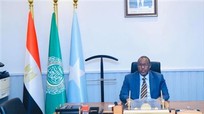 سفير الصومال يشيد بالجهود المصرية المبذولة لتعزيز التعاون بين البلدين 