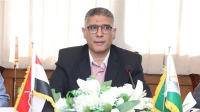 محافظ الجيزة يأمر بترقيم الـ