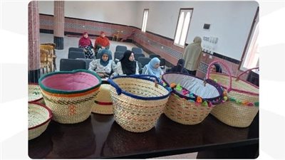 وزارة العمل تتابع البرامج التدريبية لفتايات الوادي الجديد