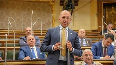 النائب هشام حسين يسأل الحكومة عن استمرار قطع الكهرباء بالطرق والمحاور المرورية