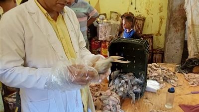 سلامة الغذاء تشن حملات مكثفة على المنشآت الغذائية بمختلف المحافظات