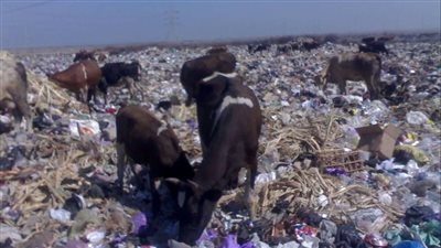 شطا قرية دمياطية من القرون الوسطى.. وتطلب الانضمام لجارتها بورسعيد 