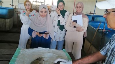 تنمية وحماية البحيرات يختتم التدريب العملي في المجمع السمكي بالمنزلة 