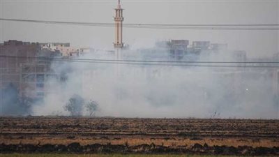 الدقهلية تستعد لمواجهة ظاهرة حرق قش الأرز 