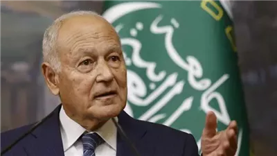 الاعتراف بالدولة الفلسطينية في صميم محادثات أبو الغيط مع الشيوخ الفرنسي