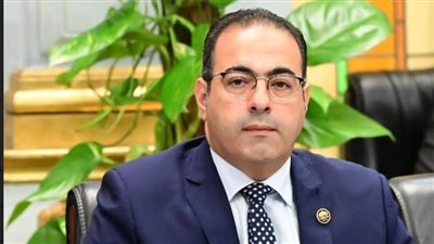 رئيس شباب النواب: ندعم تحركات القيادة السياسية والقوات المسلحة للحفاظ على الأمن القومي