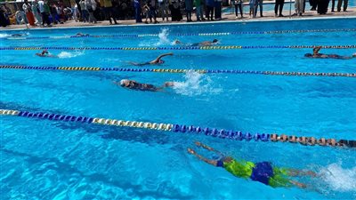 صيد الإسكندرية ينتهى من اختبارات نجوم السباحة