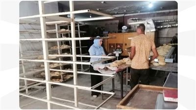 وزارة العمل تنظم حملة تفتيشية على منشآت القاهرة