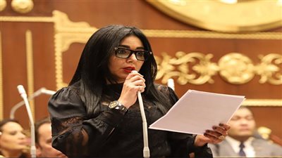 عضو بالشيوخ تطالب بإطلاق مرحلة جديدة لحماية كبار بلا مأوى