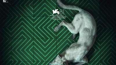 حكاية كلب بلدي تصدر بوستر 