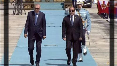 خبير علاقات دولية: مصر وتركيا يحرصان على تنمية العلاقات في كل المستويات