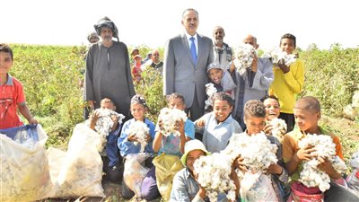 محافظ أسيوط يشهد إنطلاق موسم جنى القطن وسط فرحة المزارعين