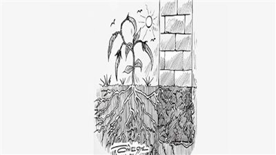 الصعود لأسفل.. قصة قصيرة