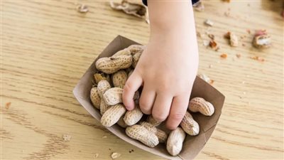 تناول الفول السوداني مبكرًا يحمي من الحساسية 