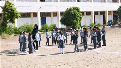 قنا| فتح فصول إضافية لرياض الأطفال بمدارس التعليم الأساسى