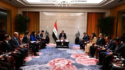 رئيس الوزراء يدعو لتوطين صناعات الطاقة 