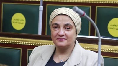 أول سؤال في النواب لتطبيق الحد الأدنى للأجور بشركة وبريات سمنود بطنطا