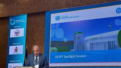 وزير الكهرباء: توجيهات دائمة من الرئيس بتدعيم الشراكة مع دول القارة الإفريقية