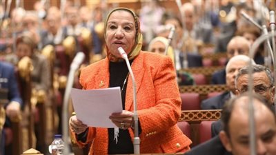 النائبة حياة خطاب: زيارة السيسي لتركيا تاريخية وتوقيتها مهم في ظل الأوضاع بالمنطقة 