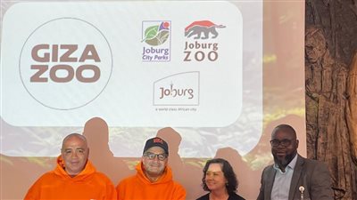 أبرزها التنوع الجيني.. أهمية التوأمة بين حدائق الحيوان بالجيزة وجوهانسبرج