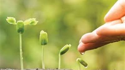 اليوم الدولي للعمل الخيري.. الأزهر للفتوى توضح افعال صالحة للتقرب من الله